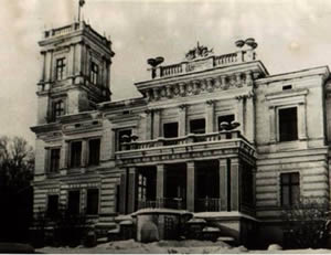 Biedrusko.info - Pałac w Biedrusku